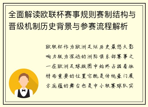 全面解读欧联杯赛事规则赛制结构与晋级机制历史背景与参赛流程解析